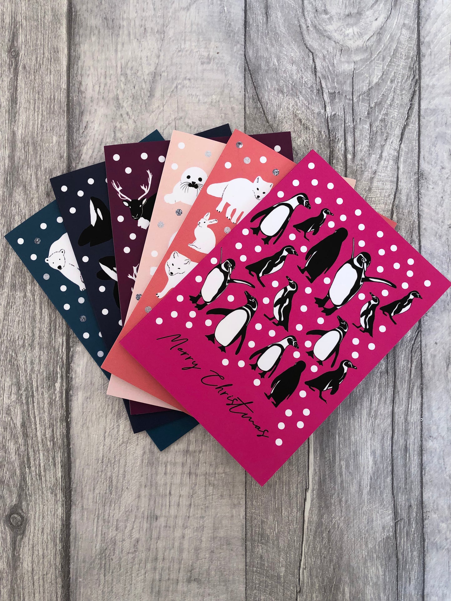 Arctic Animals Christmas Card Collection