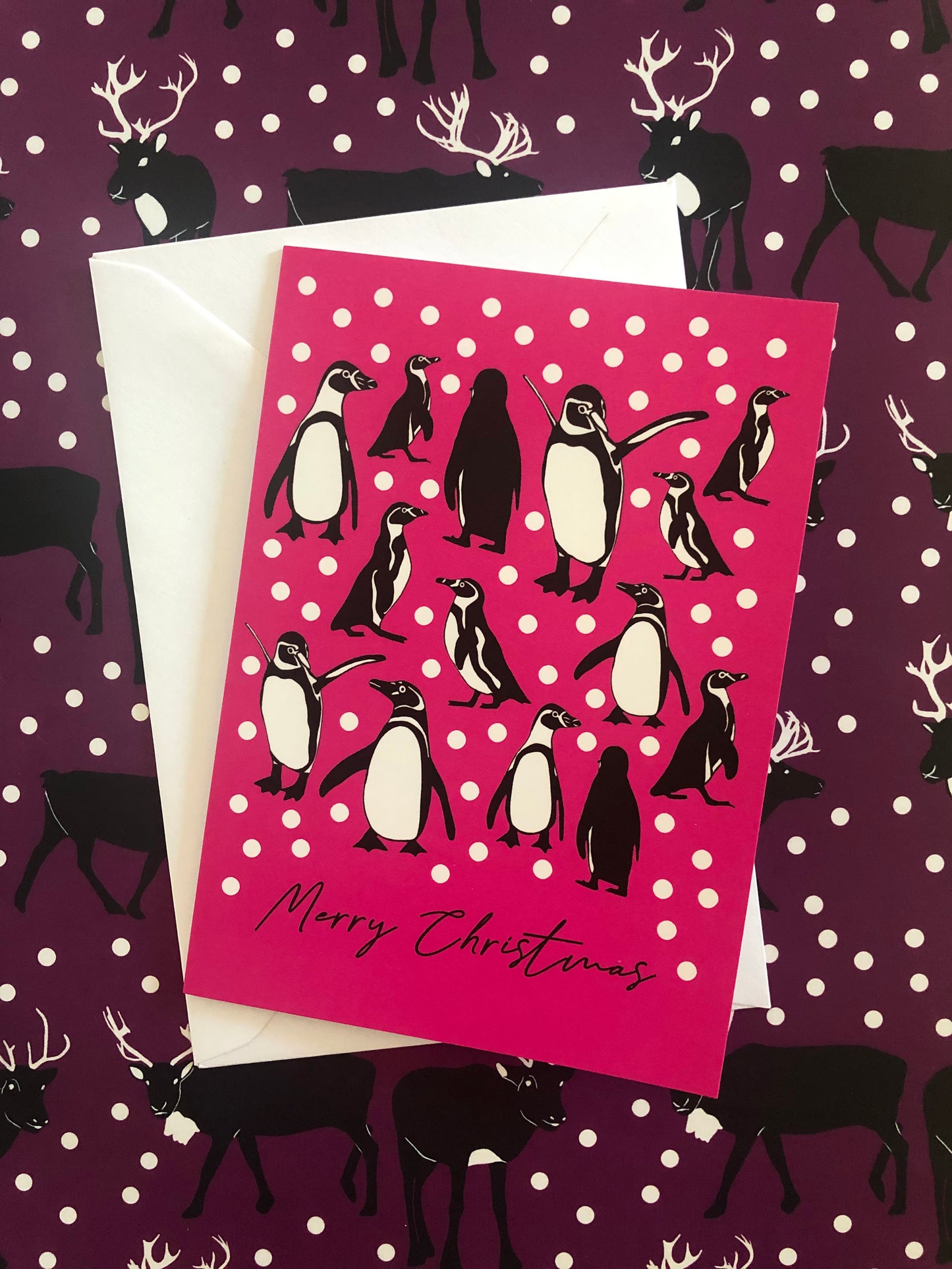 Arctic Animals Christmas Card Collection