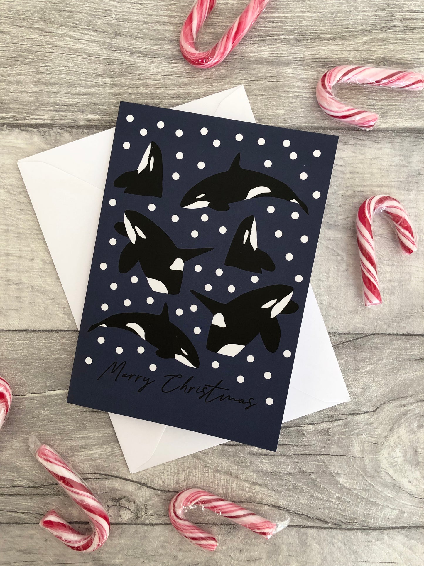 Arctic Animals Christmas Card Collection