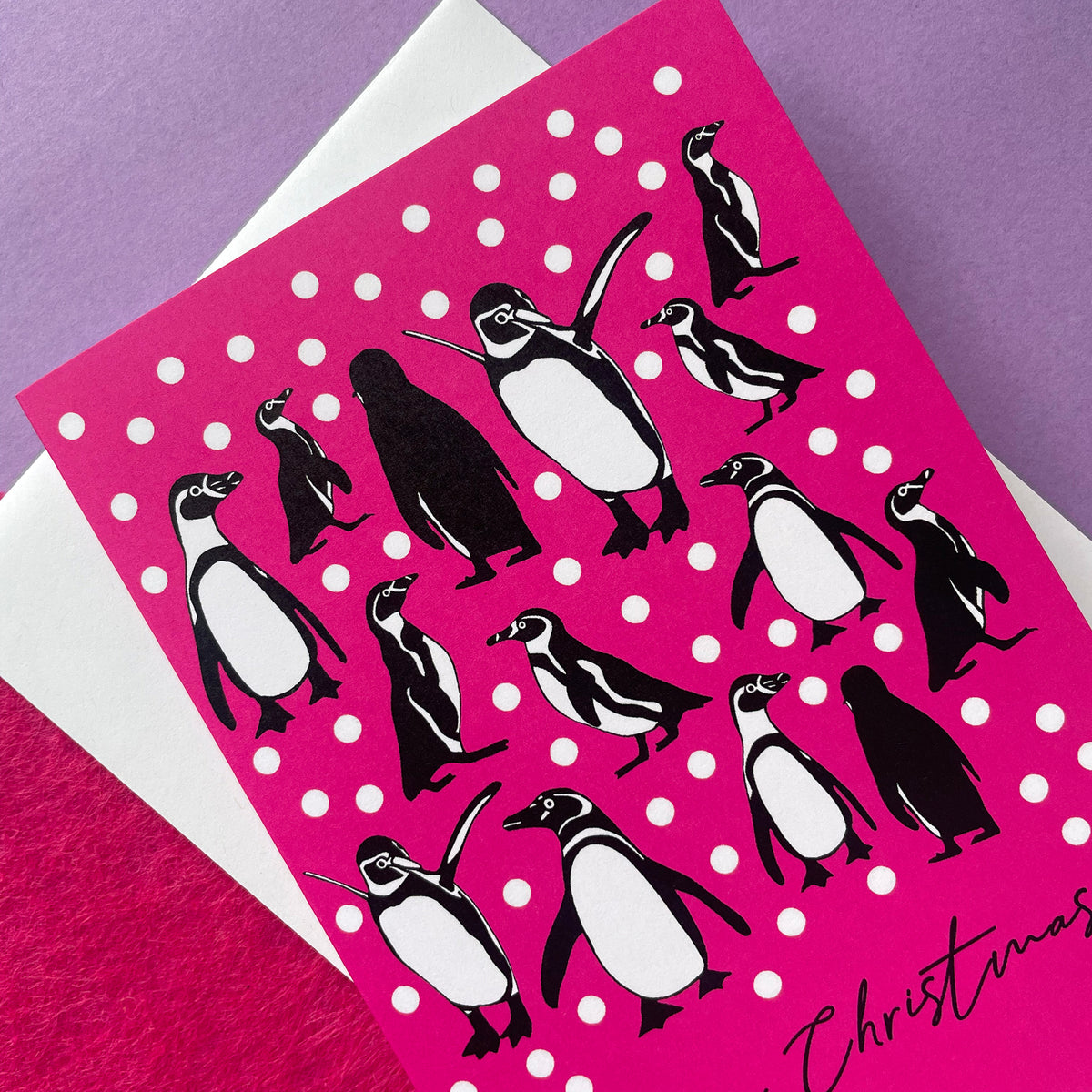 A square greeting card featuring a bright pink background with white snowballs and black-and-white penguin illustrations, layered over a white envelope on a purple surface.