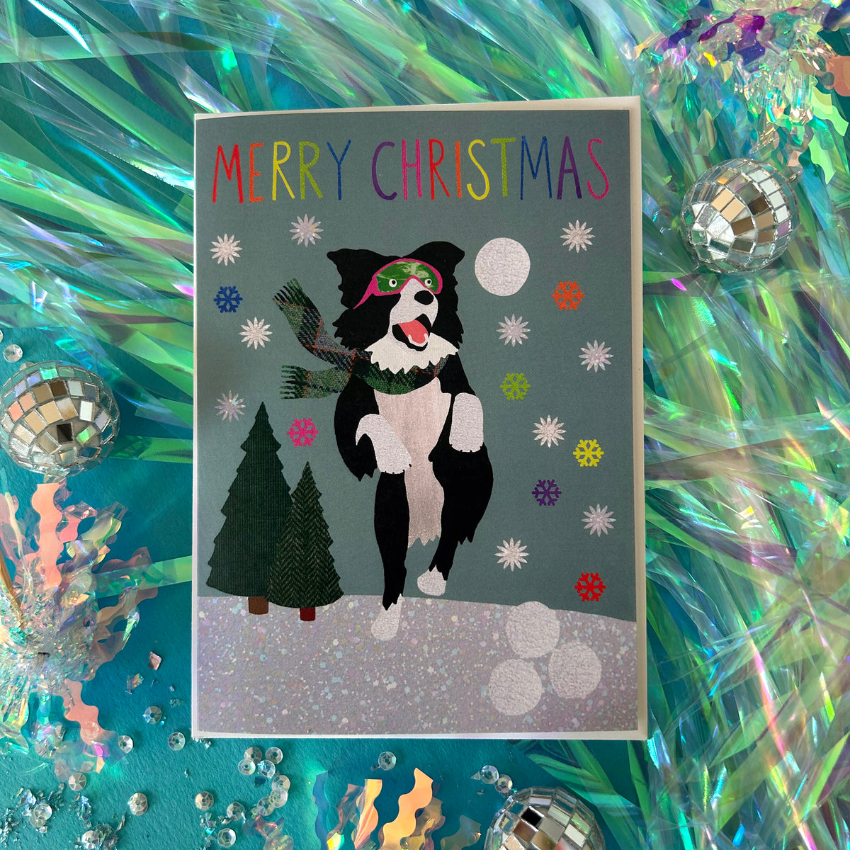 A Christmas greeting card featuring a black and white dog dressed in winter clothes with colorful 'MERRY CHRISTMAS' text, placed on a shiny iridescent teal background with disco ball props.